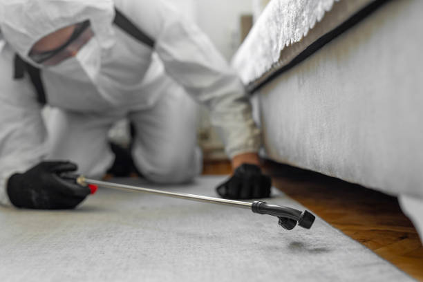 Professional Bed Bug Control technician working in Sheridan County County, KS